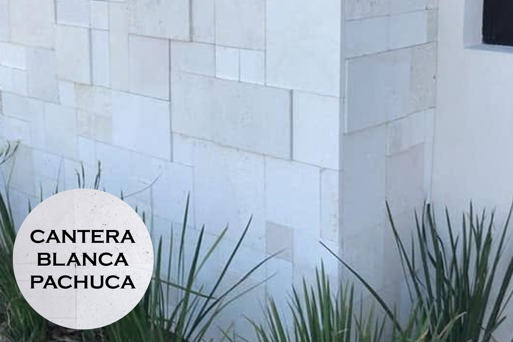 BLANCA PACHUCA
